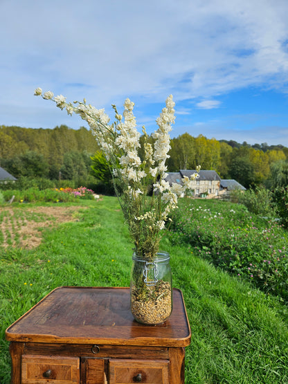 Pied d'alouette blanc séchée Fleurs séchées françaises normandie Fleurs de la Clarté bottes grossiste diy pas cher